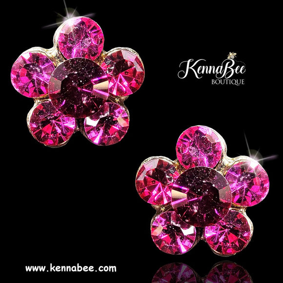 Fuchsia Flowers