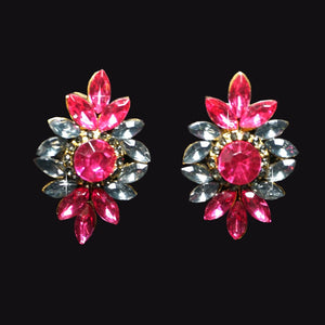 Fuchsia Earrings
