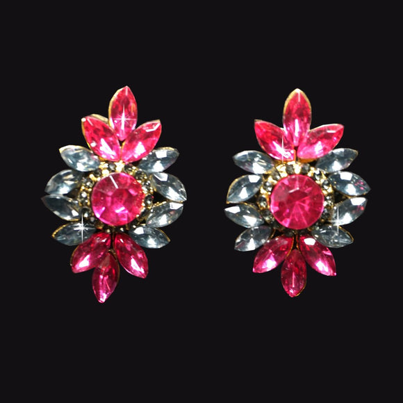Fuchsia Earrings